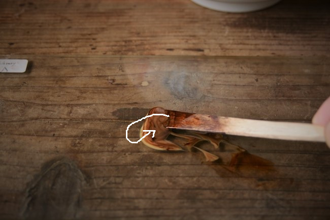 木の食器に生えたカビを擦り漆で隠す方法